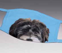 CUSTOM PHOTO Face Masks<BR>(Send Your Photos)<BR>FREE SHIPPING